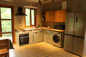 Modular House Green Zyland Y